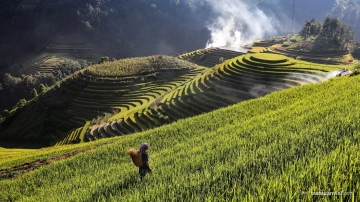 Mu Cang Chai Photo Tour Day 7 3