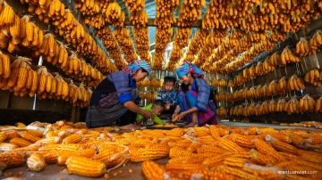 Vietnam Autumn Photo Tour Day 5 1