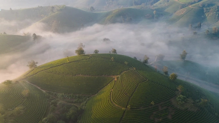 Phu Tho - Ha Noi - Slide 5