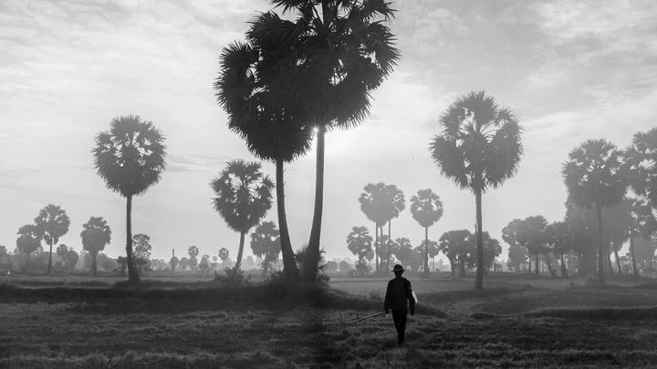 An Giang - Hau Giang - Slide 5