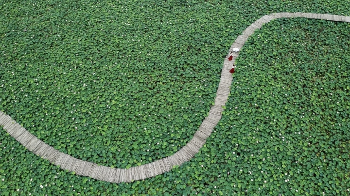 Ninh Binh - Phu Tho - Slide 6