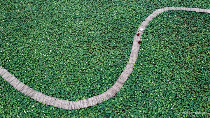 Thai Binh – Ninh Binh - Slide 3