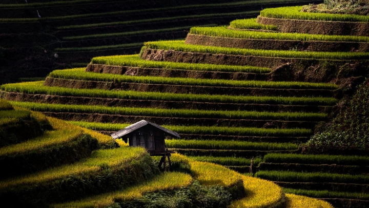 Mu Cang Chai - Slide 5