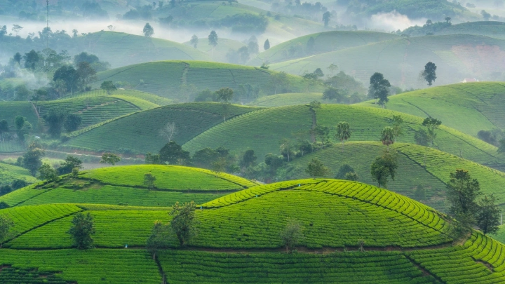 Mu Cang Chai - Slide 2