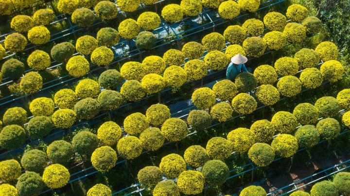 Ho Chi Minh City - Slide 1