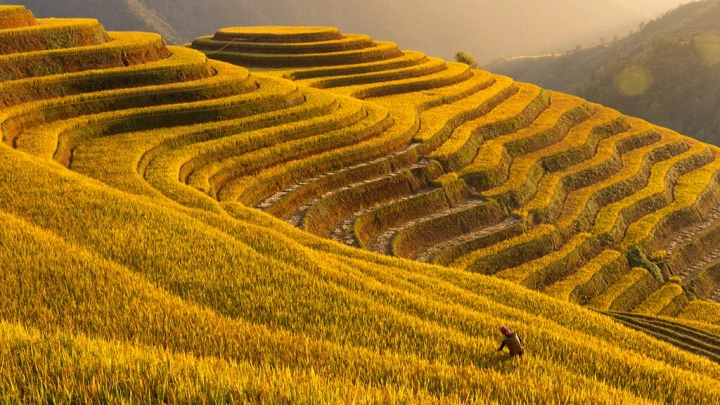 Mu Cang Chai - Slide 4