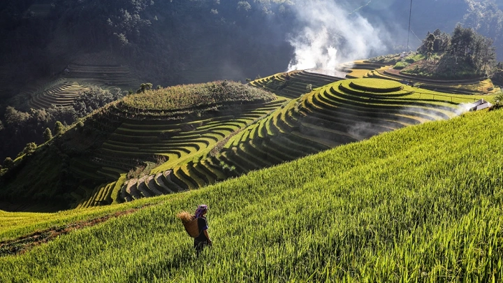 Mu Cang Chai Hmong Farmer
