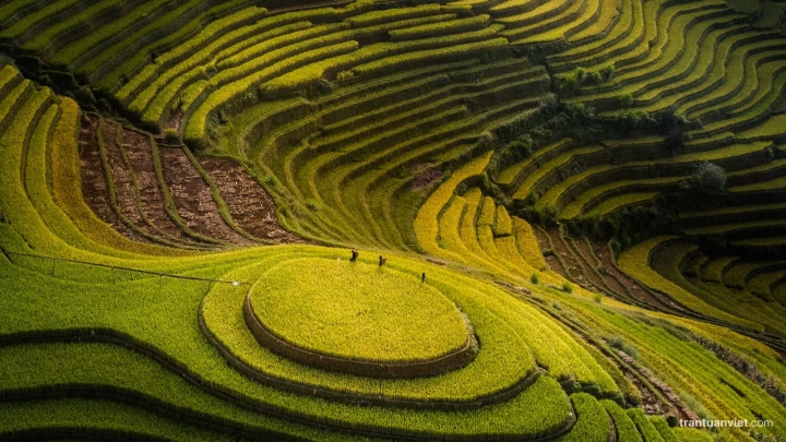 7 day Mu Cang Chai Photo Tour