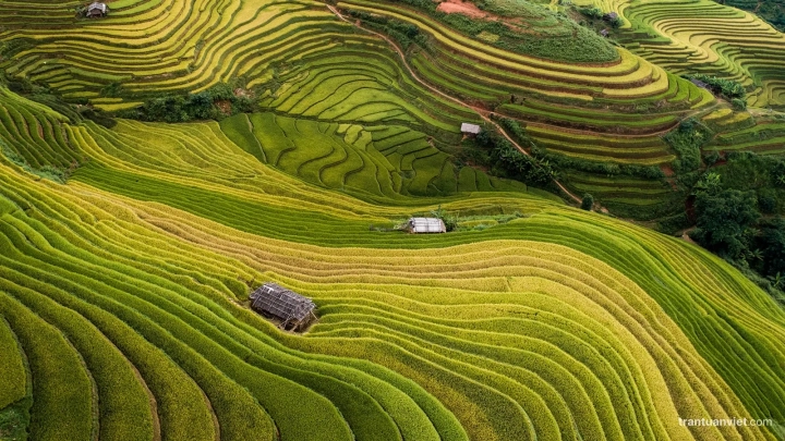 Mu Cang Chai - Slide 2