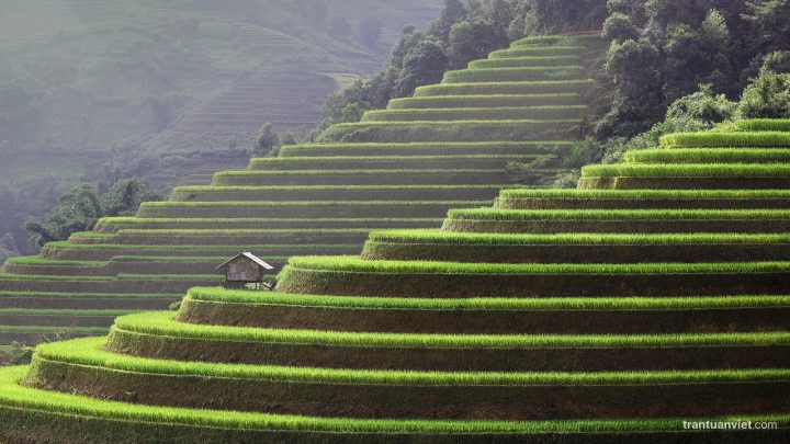 Mu Cang Chai - Slide 2