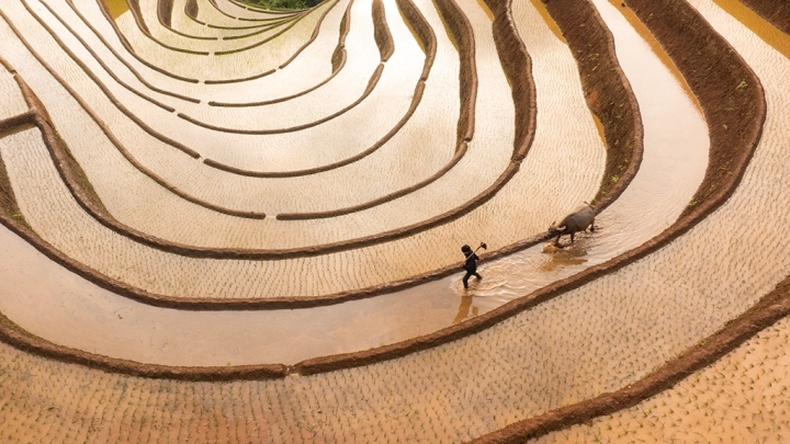 Mu Cang Chai - Slide 3