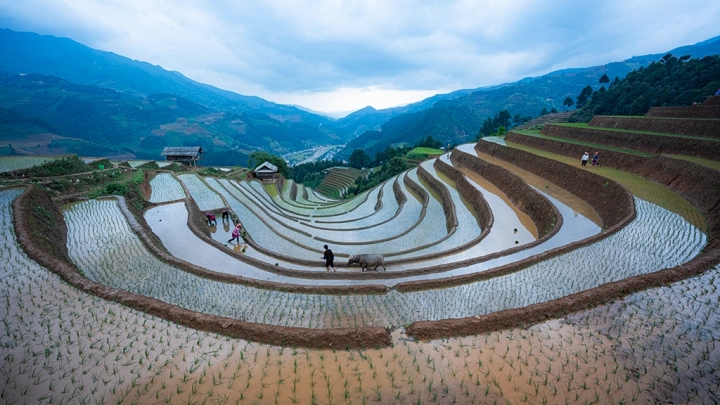 Mu Cang Chai - Slide 1