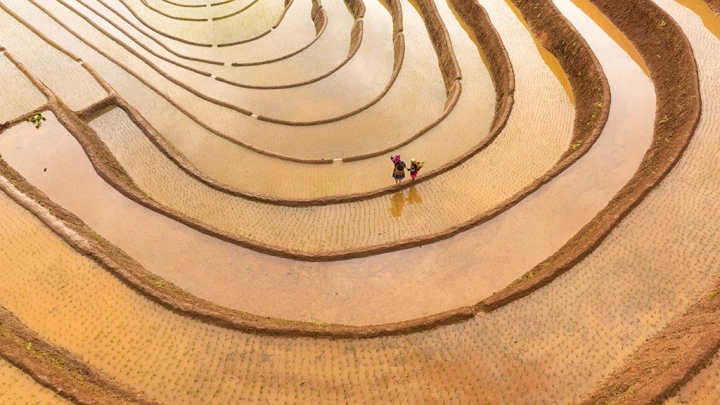 Vietnam Summer Photography Workshop