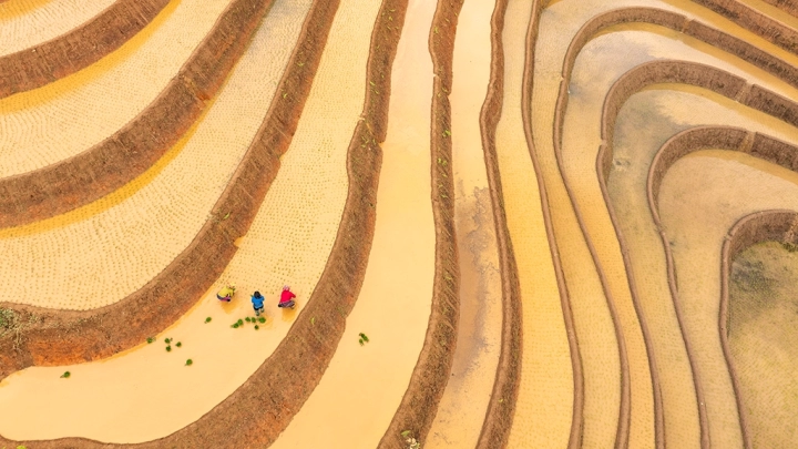 Mu Cang Chai - Slide 2