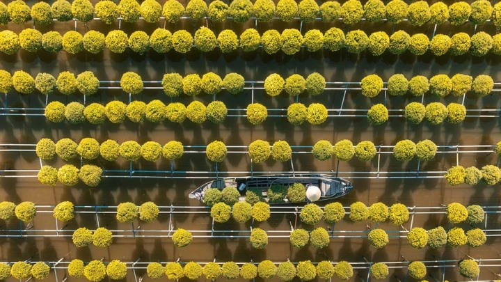 Hoi An - Dong Thap - Slide 4