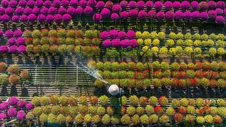 Ho Chi Minh City - Slide 2