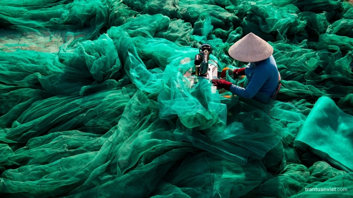 Green Net