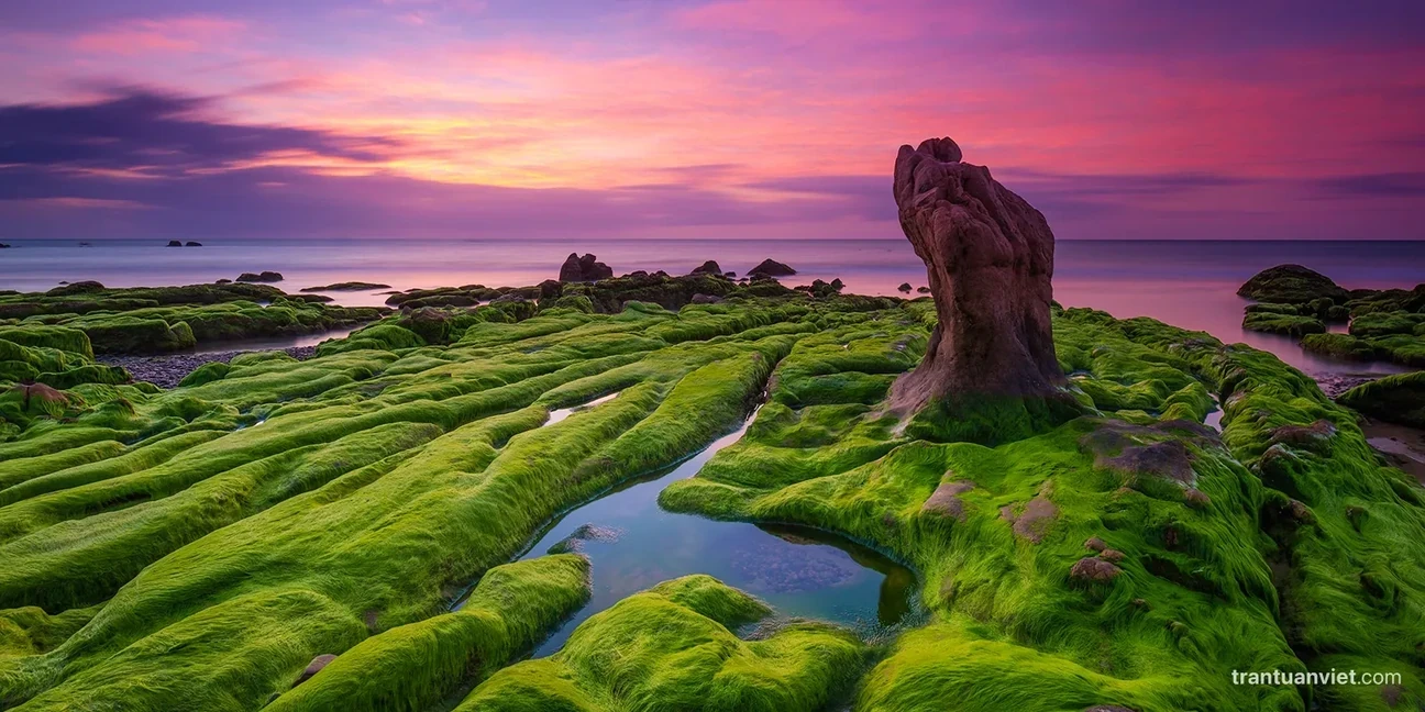 Nature Photographer Of The Year 2022