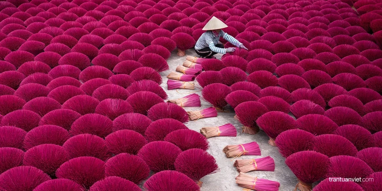 Wikipedia Commons Picture Of The Year 2023